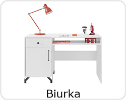 Biurka dziecięce │ Biurka młodzieżowe